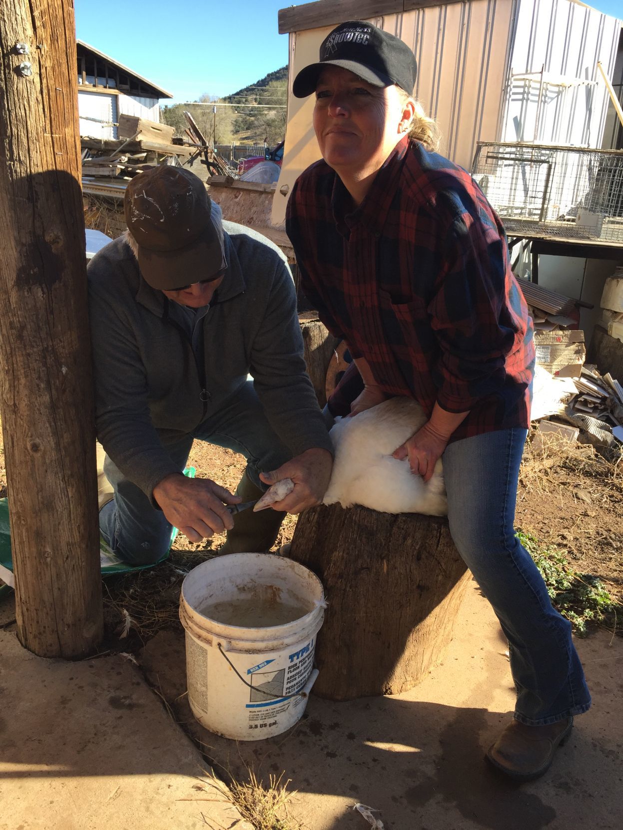 2016: Turkey butchering